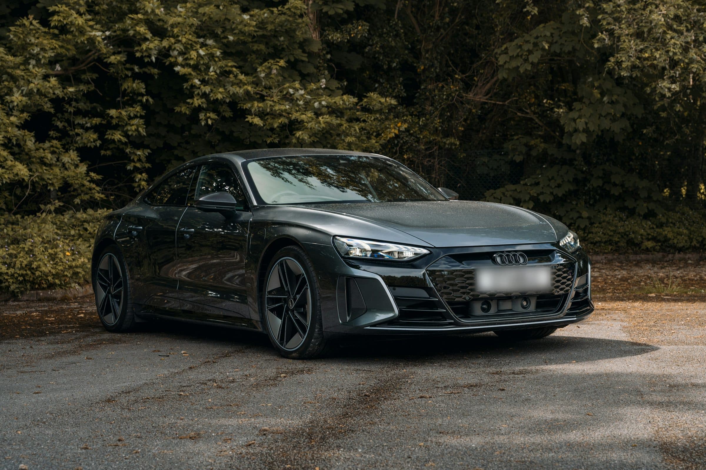 Electric VIP: Audi e-tron GT